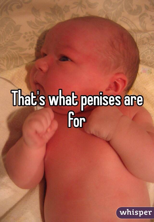 That's what penises are for