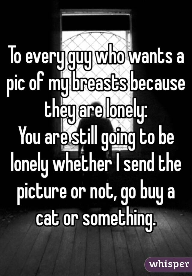 To every guy who wants a pic of my breasts because they are lonely: 
You are still going to be lonely whether I send the picture or not, go buy a cat or something. 