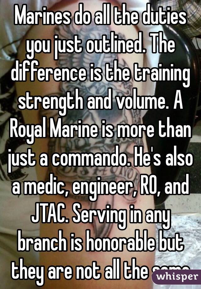Marines do all the duties you just outlined. The difference is the training strength and volume. A Royal Marine is more than just a commando. He's also a medic, engineer, RO, and JTAC. Serving in any branch is honorable but they are not all the same
