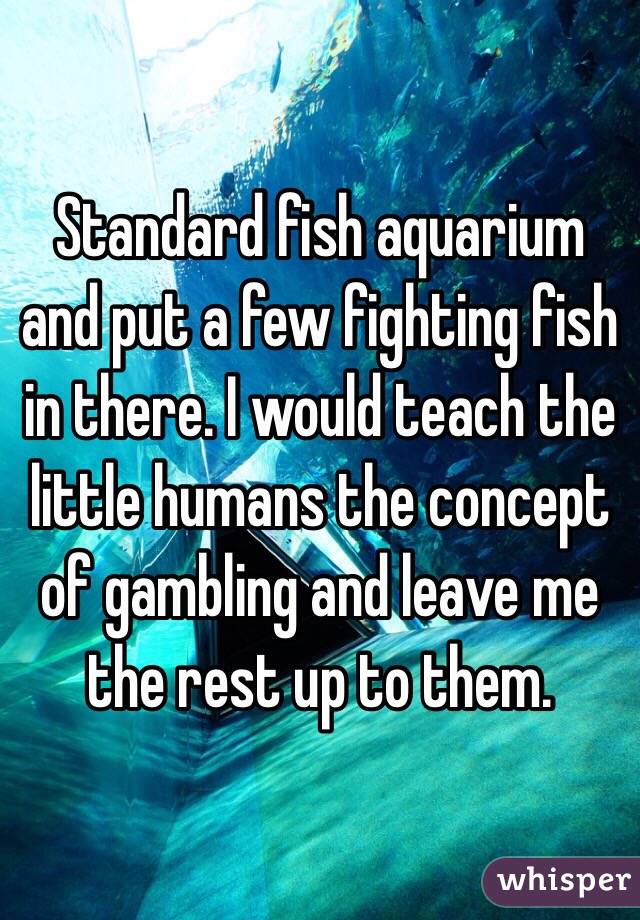 Standard fish aquarium and put a few fighting fish in there. I would teach the little humans the concept of gambling and leave me the rest up to them. 