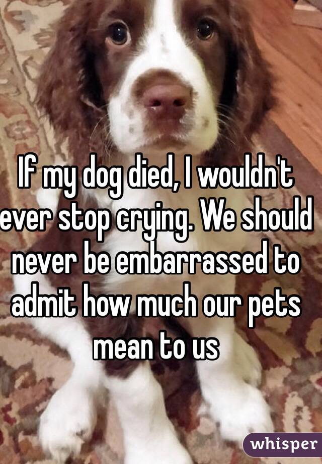 If my dog died, I wouldn't ever stop crying. We should never be embarrassed to admit how much our pets mean to us