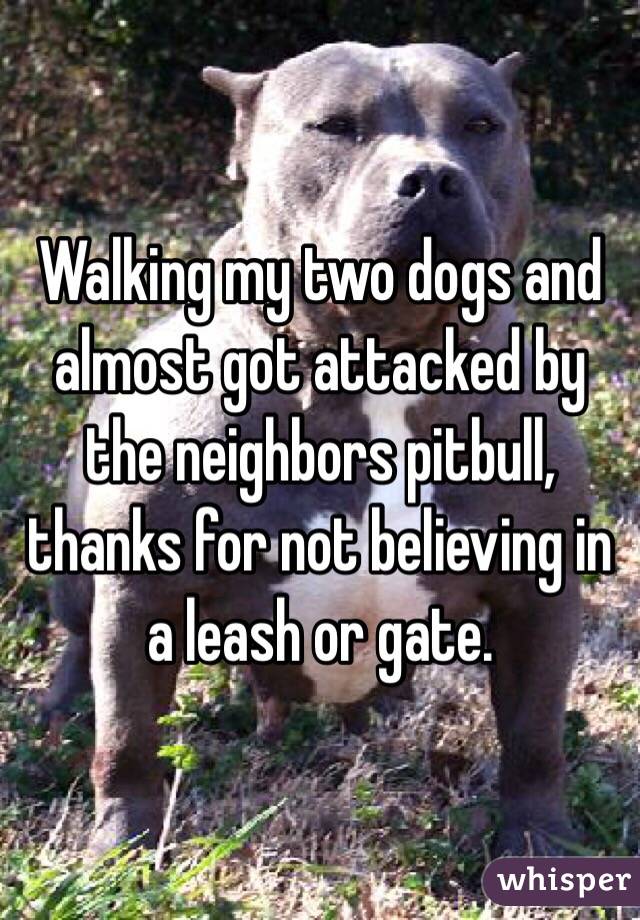 Walking my two dogs and almost got attacked by the neighbors pitbull, thanks for not believing in a leash or gate. 