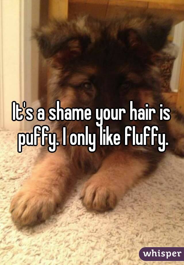 It's a shame your hair is puffy. I only like fluffy.