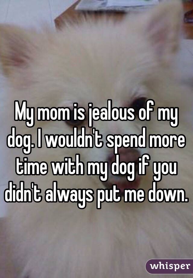 My mom is jealous of my dog. I wouldn't spend more time with my dog if you didn't always put me down.