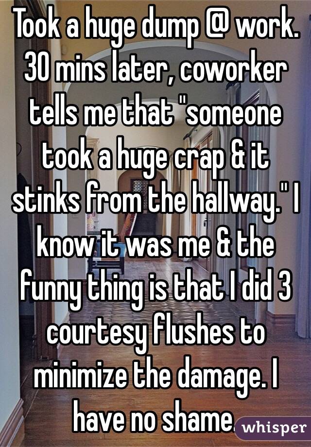 Took a huge dump @ work. 30 mins later, coworker tells me that "someone took a huge crap & it stinks from the hallway." I know it was me & the funny thing is that I did 3 courtesy flushes to minimize the damage. I have no shame. 