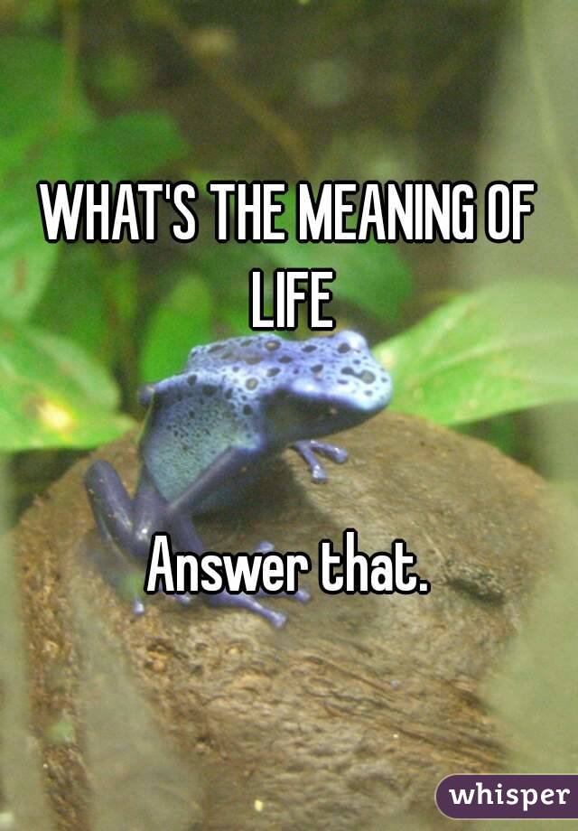 WHAT'S THE MEANING OF LIFE


Answer that.