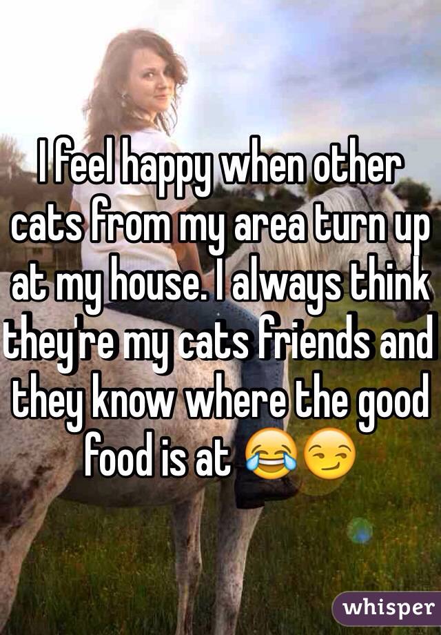 I feel happy when other cats from my area turn up at my house. I always think they're my cats friends and they know where the good food is at 😂😏