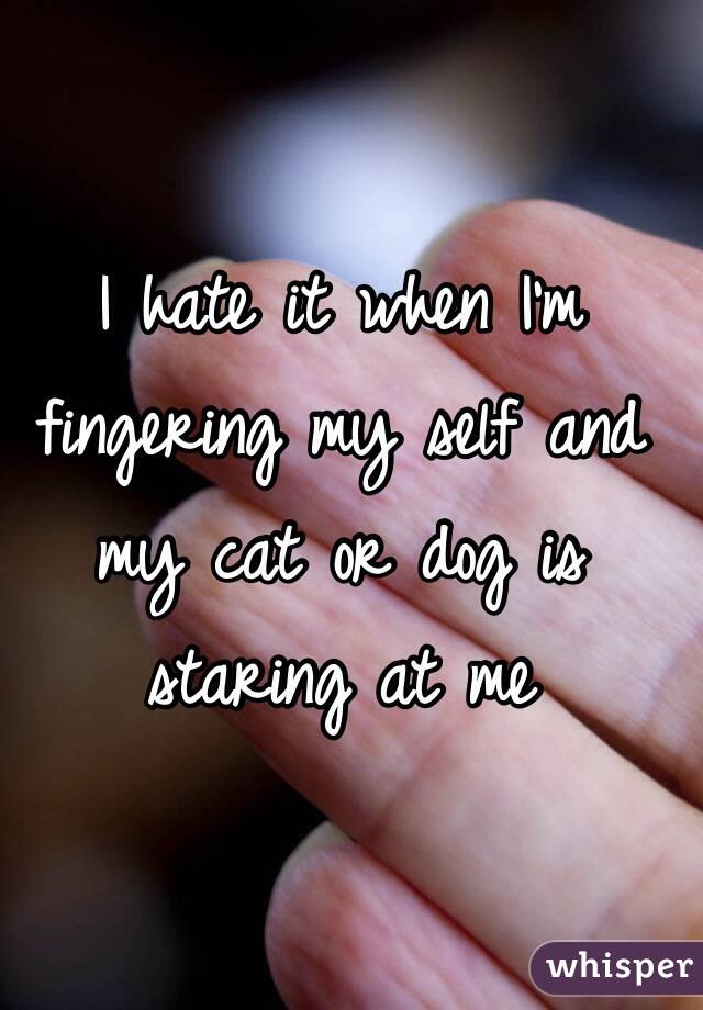 I hate it when I'm fingering my self and my cat or dog is staring at me 