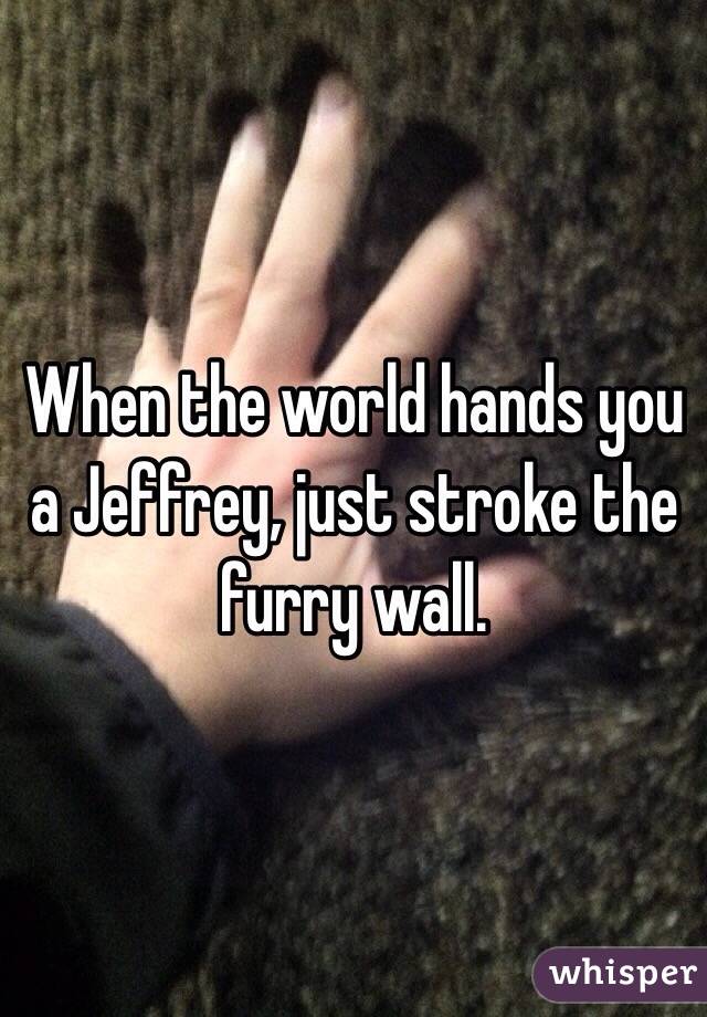 When the world hands you a Jeffrey, just stroke the furry wall.