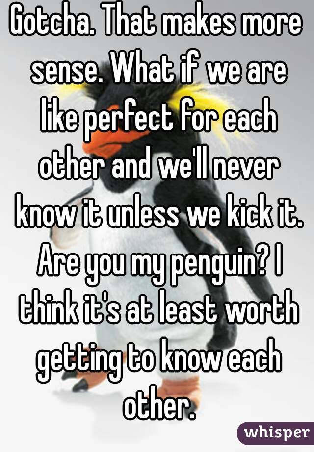Gotcha. That makes more sense. What if we are like perfect for each other and we'll never know it unless we kick it. Are you my penguin? I think it's at least worth getting to know each other.