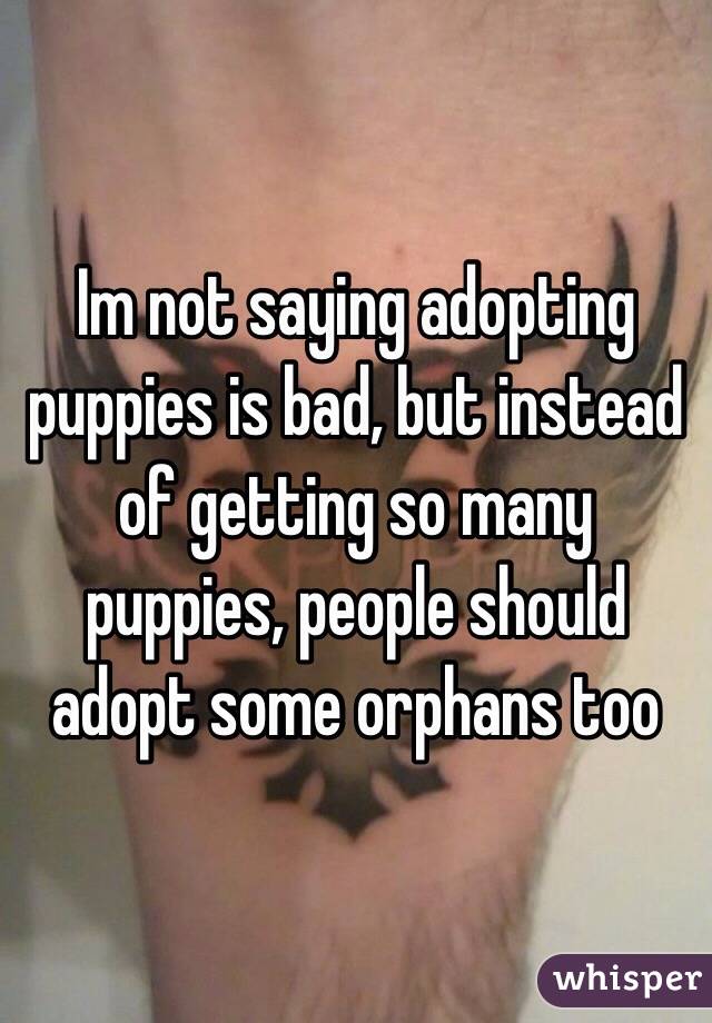 Im not saying adopting puppies is bad, but instead of getting so many puppies, people should adopt some orphans too 