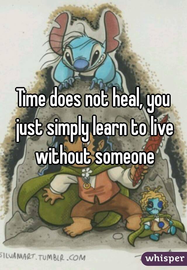 Time does not heal, you just simply learn to live without someone