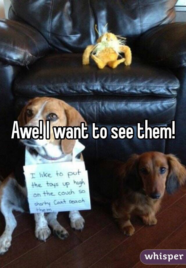 Awe! I want to see them!