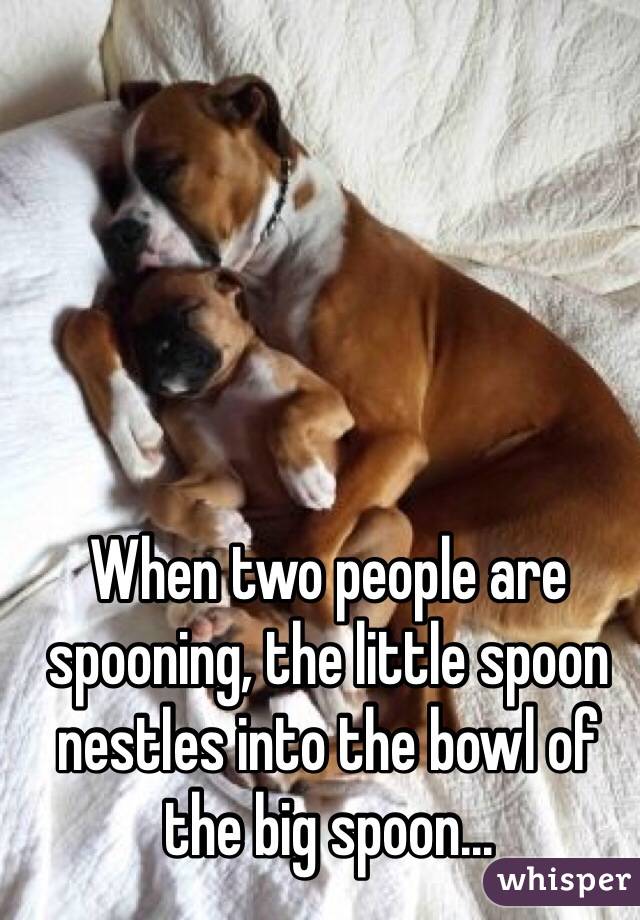 When two people are spooning, the little spoon nestles into the bowl of the big spoon...