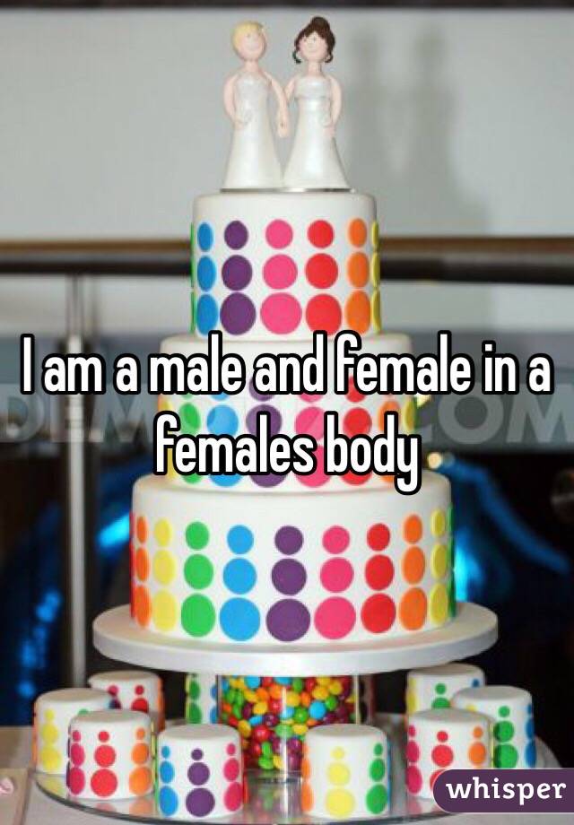 I am a male and female in a females body 