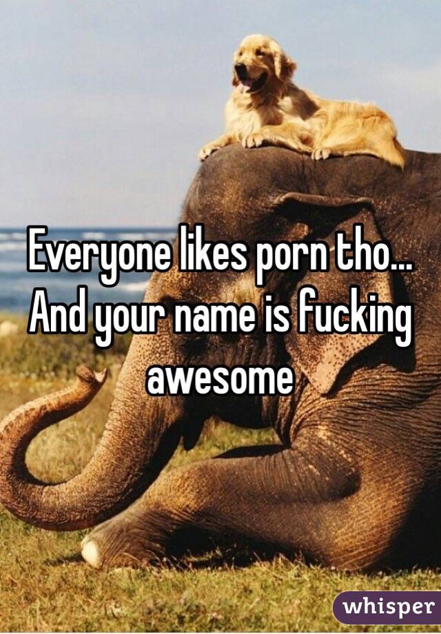 Everyone likes porn tho... And your name is fucking awesome 