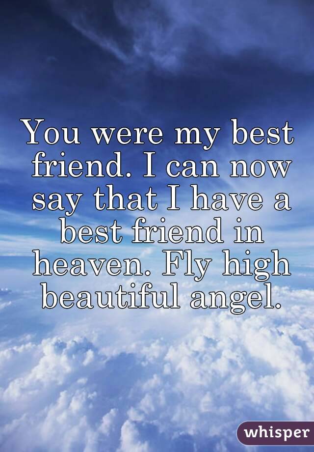 You were my best friend. I can now say that I have a best friend in heaven. Fly high beautiful angel.