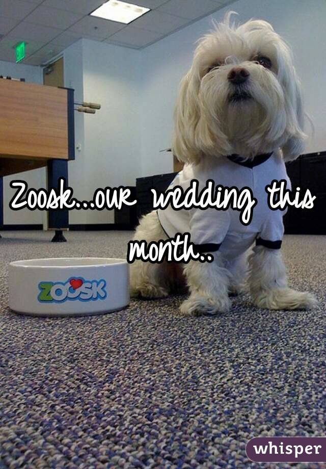 Zoosk...our wedding this month..