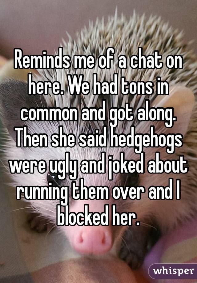 Reminds me of a chat on here. We had tons in common and got along. Then she said hedgehogs were ugly and joked about running them over and I blocked her. 