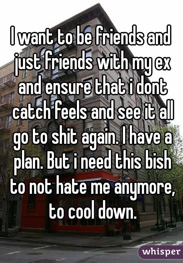 I want to be friends and just friends with my ex and ensure that i dont catch feels and see it all go to shit again. I have a plan. But i need this bish to not hate me anymore, to cool down.