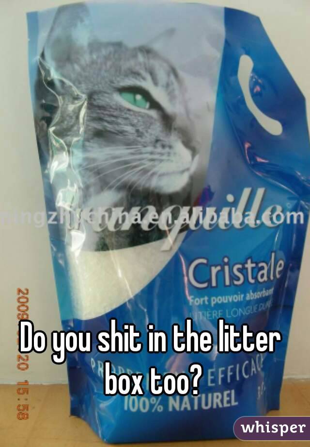 Do you shit in the litter box too?