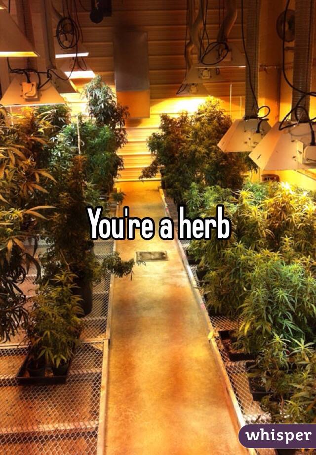 You're a herb