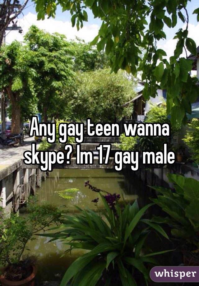 Any gay teen wanna skype? Im 17 gay male