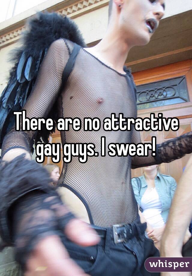 There are no attractive gay guys. I swear! 