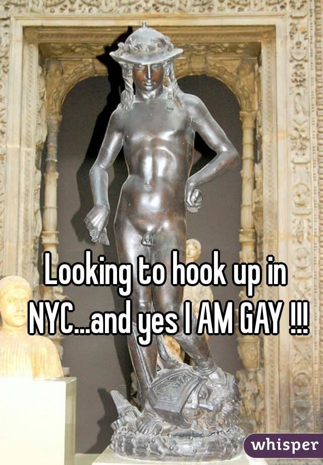 Looking to hook up in NYC...and yes I AM GAY !!!