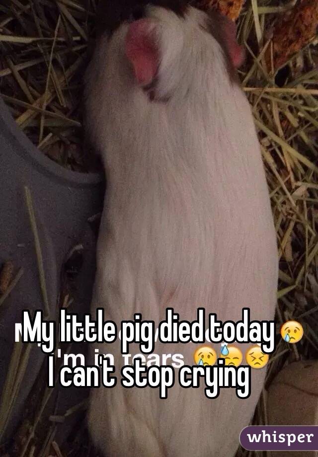 My little pig died today 
I can't stop crying 