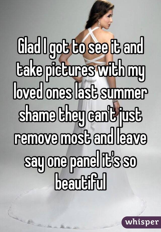 Glad I got to see it and take pictures with my loved ones last summer shame they can't just remove most and leave say one panel it's so beautiful