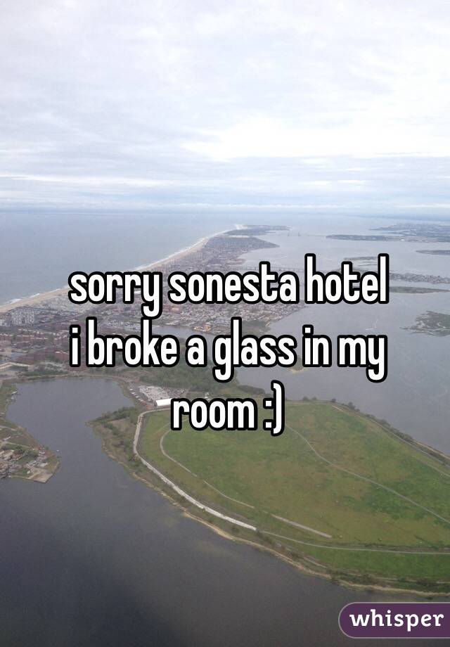 sorry sonesta hotel
i broke a glass in my room :)