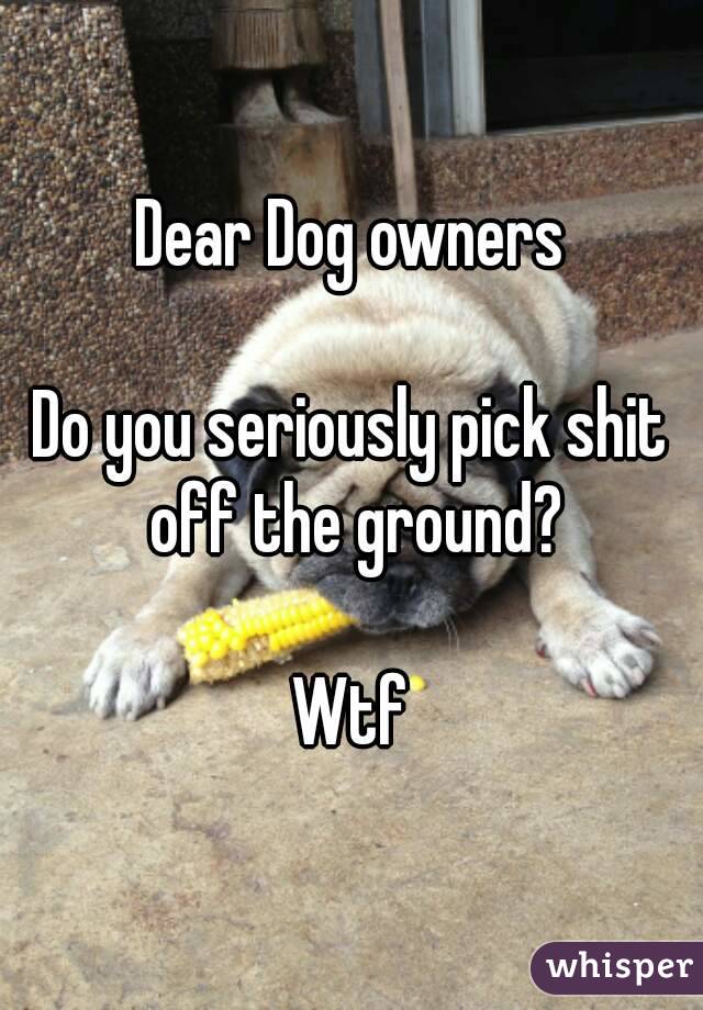 Dear Dog owners

Do you seriously pick shit off the ground?

Wtf