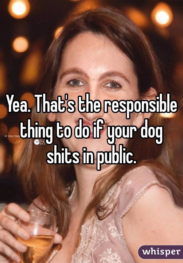 Yea. That's the responsible thing to do if your dog shits in public. 