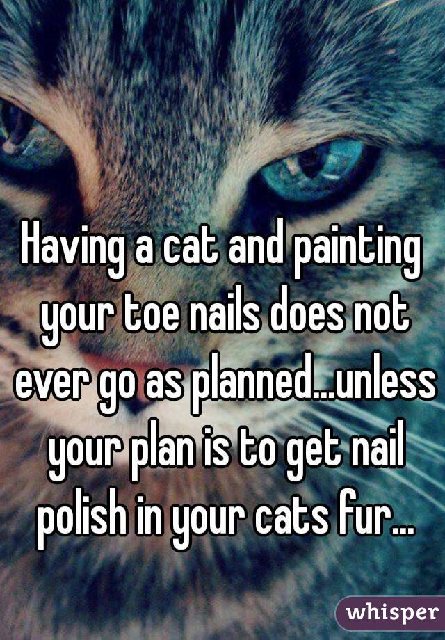 Having a cat and painting your toe nails does not ever go as planned...unless your plan is to get nail polish in your cats fur...