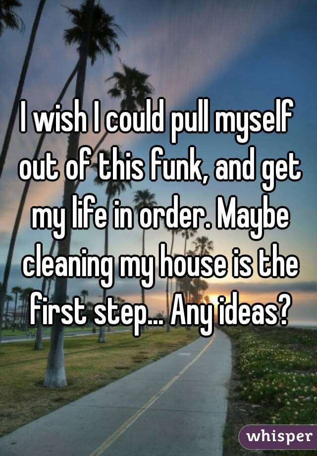 I wish I could pull myself out of this funk, and get my life in order. Maybe cleaning my house is the first step... Any ideas?