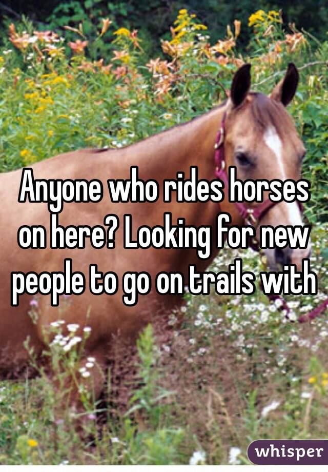 Anyone who rides horses on here? Looking for new people to go on trails with 