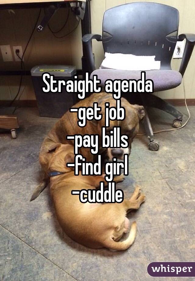 Straight agenda 
-get job
-pay bills 
-find girl 
-cuddle
