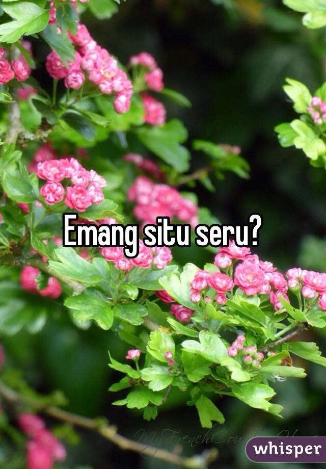 Emang situ seru?