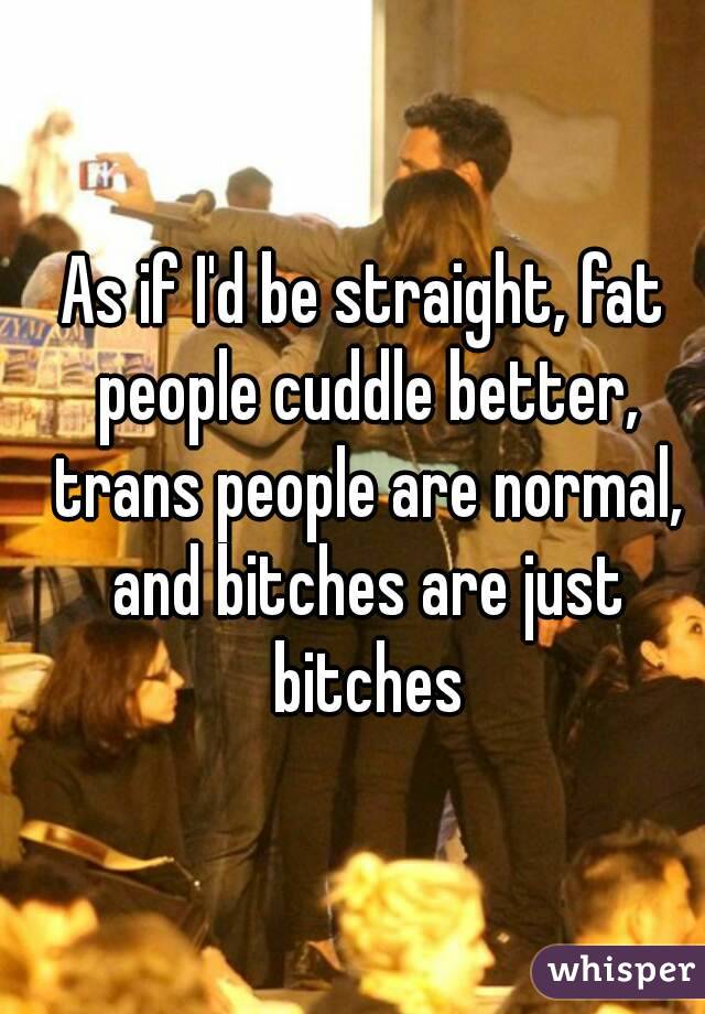 As if I'd be straight, fat people cuddle better, trans people are normal, and bitches are just bitches