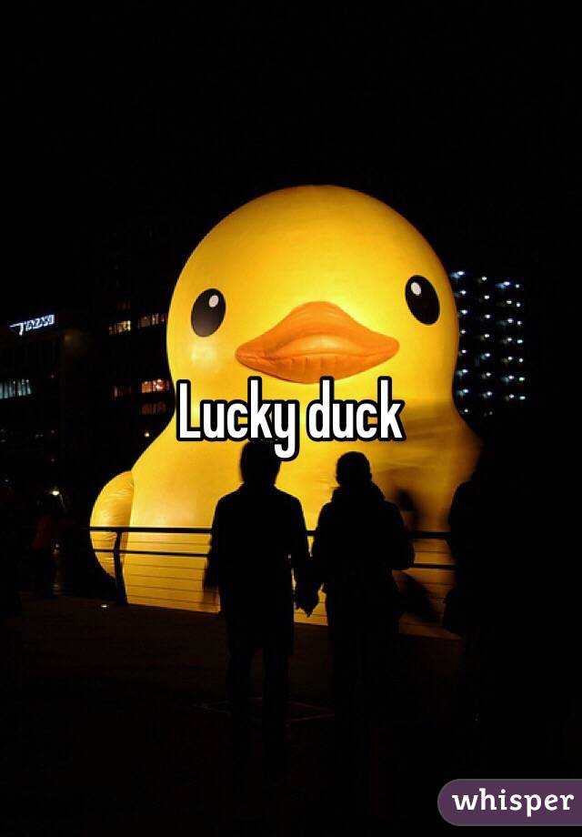 Lucky duck