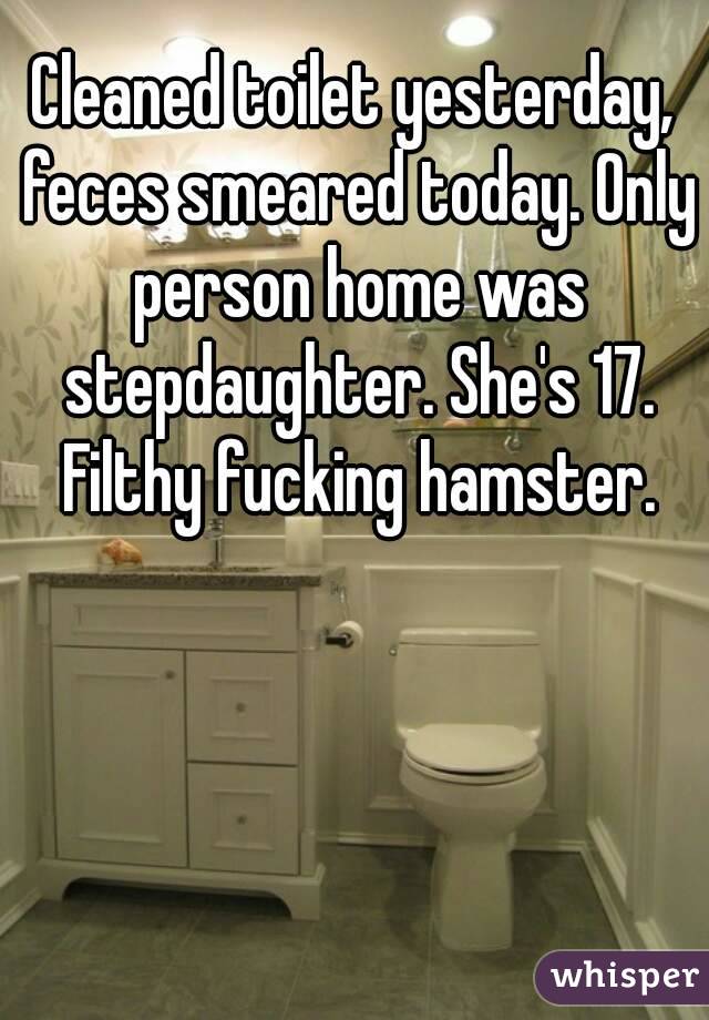 Cleaned toilet yesterday, feces smeared today. Only person home was stepdaughter. She's 17. Filthy fucking hamster.