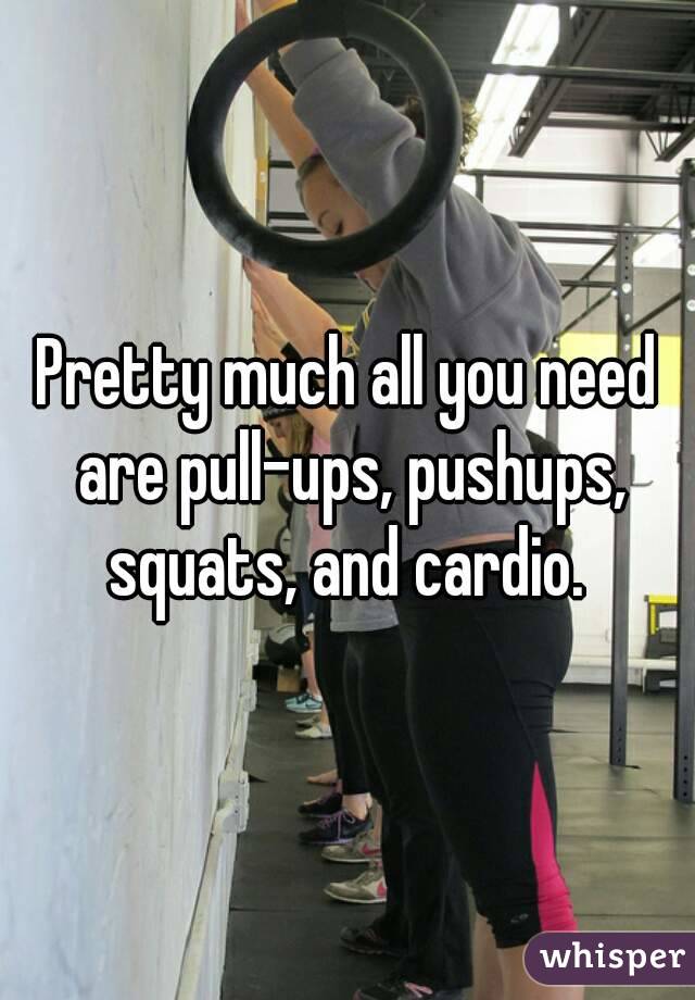 Pretty much all you need are pull-ups, pushups, squats, and cardio. 