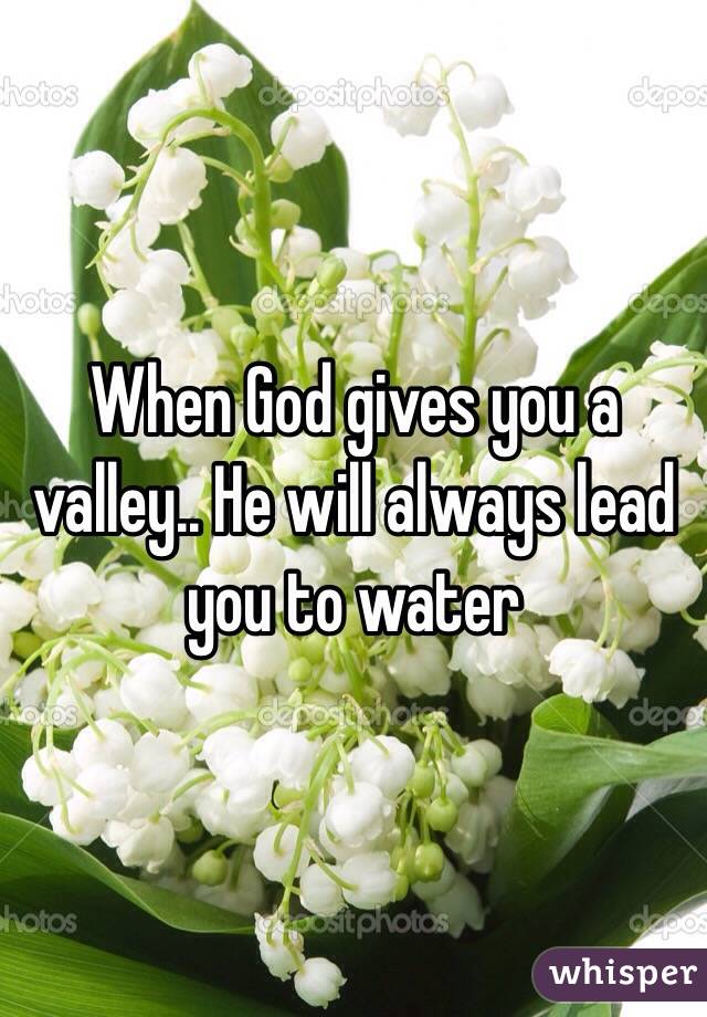 When God gives you a valley.. He will always lead you to water