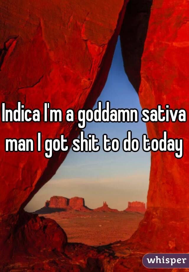 Indica I'm a goddamn sativa man I got shit to do today 