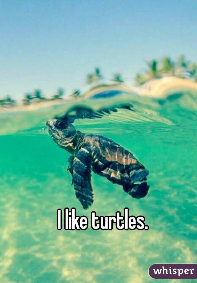 I like turtles.