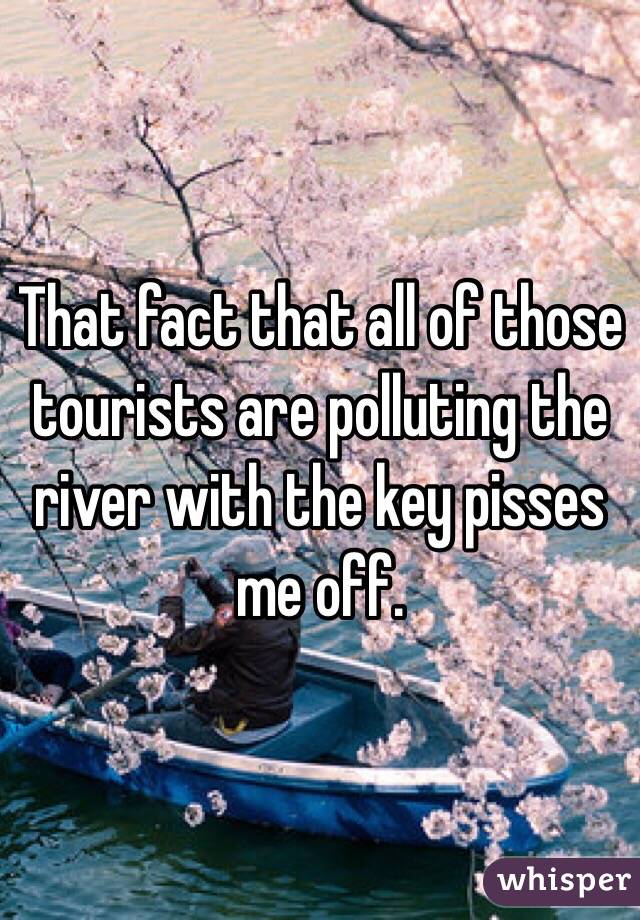 That fact that all of those tourists are polluting the river with the key pisses me off.  