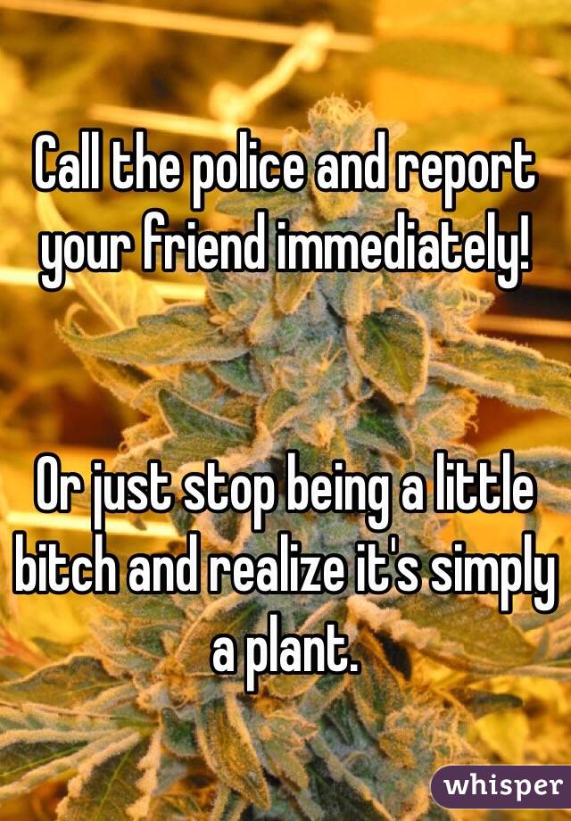 Call the police and report your friend immediately!


Or just stop being a little bitch and realize it's simply a plant.