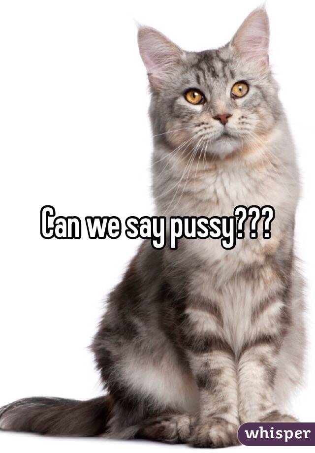 Can we say pussy???