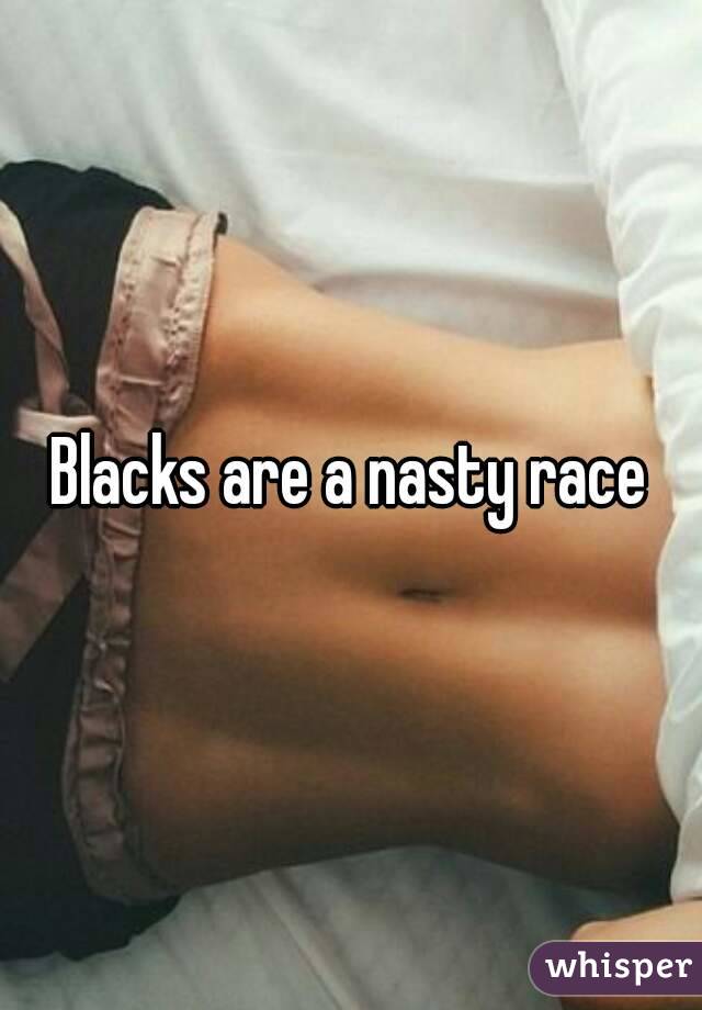 Blacks are a nasty race